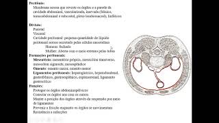 SISTEMA DIGESTÓRIO PARTE 4  PERITÔNIO [upl. by Nageam]