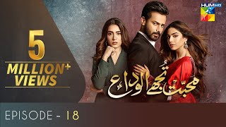 Mohabbat Tujhe Alvida  Episode 18  Eng Subs  Digitally Powered By Master Paints  HUM TV  Drama [upl. by Vinn959]