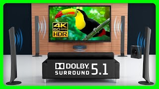 The BEST Dolby 51 Surround Sound Demo Nature Sounds 🍃 [upl. by Hgeilyak]