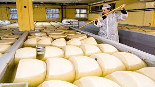 COMO se HACE el QUESO PARMESANO🧀 El REY de los QUESOS 1000 por RUEDA [upl. by Anderea]