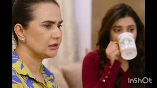 Dile nadan Episode 25 Promo Review Dil eNadan Teaser 25 Episode Review [upl. by Pelaga401]