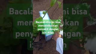 doa motivation manfaat manfaatdoa khasiatdoa life motivasi ilmu motivational quotes [upl. by Venator742]