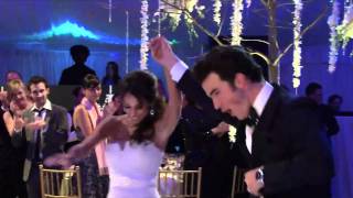 Kevin and Danielles Wedding Videomov [upl. by Nnod]