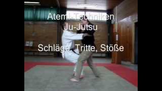 JuJutsu MasterSerie 4 quotSchläge und Trittequot [upl. by Forsyth]