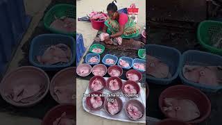 Amazing Surmai Fish Cutting Skills Besides Marina Beach  Chennai [upl. by O'Mahony]