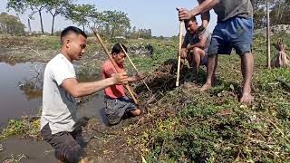 Amazing Traditional Eel Fishing  Village boys eel fishing  Best Eel Fishing video  Mr Drubo [upl. by Rivkah]