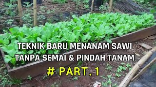 Cara Baru Menanam Sawi Tanpa Semai amp Pindah Tanam  PART 1 [upl. by Jobi595]