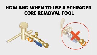 How and When to Use a Schrader Core Removal Tool [upl. by Schulein81]