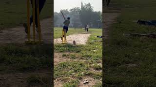 Big shots 🏏 battingstyle sixers shotsvideo [upl. by Anaeco381]