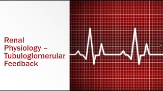 Renal Physiology Tubuloglomerular Feedback [upl. by Suitangi]