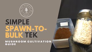 Quick amp Easy SpawntoBulk Method  Mushroom Cultivation Guide [upl. by Enilarak]