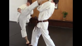 rotating around the center in karate kicking [upl. by Domenico]