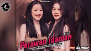 Dj perawan idaman  remix ganjor orgen tunggal  by rudas project [upl. by Gnok48]