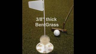 Master Green BentGrass Putting Mat [upl. by Adirf]