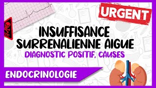 L’Insuffisance Surrénalienne Aigue Signes Cliniques et Paracliniques Causes Facteurs Déclenchant [upl. by Fischer455]