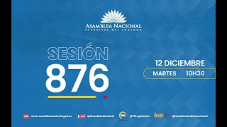 Sesión 877 del Pleno de la Asamblea Nacional [upl. by Jecho]