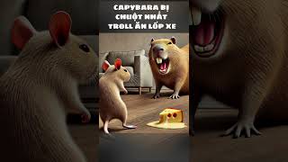 CAPYBARA BỊ TROLL ĂN LỐP XE ai cartoon cat kitten funny mèo review reels capybara [upl. by Lime977]