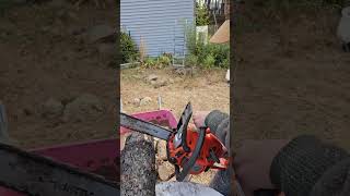 Karl Olson cutting wood pellets for our pelletstove gke Boaz on the chainsaw Olsonlife [upl. by Latashia]