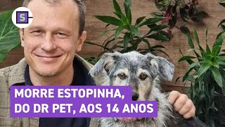 Estopinha a pet influencer mais famosa do Brasil morre aos 14 anos [upl. by Kalina]