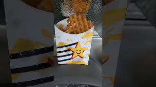 Carls Jr Hardees Waffle Fries carlsjr hardees wafflefries mcdonalds burgerking wendys food [upl. by Aicilak]