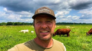 Why I’m Doubling Down on St Croix Sheep Instead of Dorper regenerativeagriculture [upl. by Fiore]