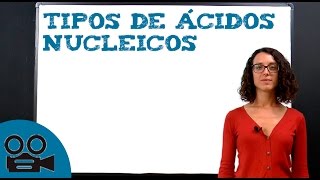 Ácidos nucleicos  tipos y clasificación [upl. by Annoda]