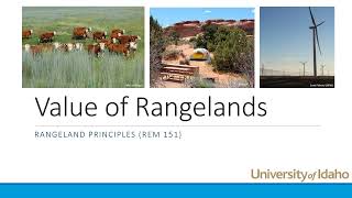 Values of Rangelands2021 [upl. by Gnoh]