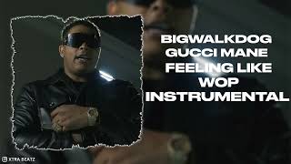 BigWalkDog amp Gucci Mane  Feeling Like Wop Instrumental [upl. by Elenahc]