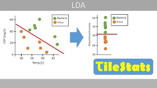 Linear discriminant analysis LDA  simply explained [upl. by Sesom421]