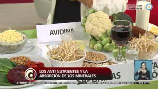 Red de salud  Absorción de nutrientes  170715 [upl. by Liggitt]