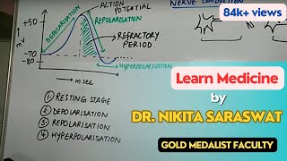 Nerve Conduction amp Action Potential  Depolarization Repolarization Transmission Nervous System [upl. by Joshua]