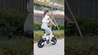 U1 Folding Electric Bike [upl. by Hguh413]