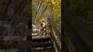 Climbing Georgia’s Tallest Waterfall Amicalola Falls in Stunning Fall Colors [upl. by Brandtr]