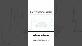 How vaccine works  funnyshorts biology 1million viralshorts [upl. by Corron]