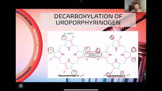 2023 Porphyrins RBC and Respiration [upl. by Retsevlis]