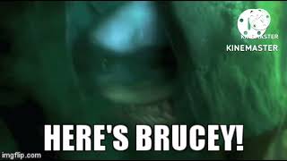 Bobby Bushbaby being scared by Bruce the Great White Shark [upl. by Whang556]