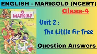 Class  4  Unit  2 The Little Fir Tree  Question  Answers  English  Marigold  NCERT [upl. by Htrow]