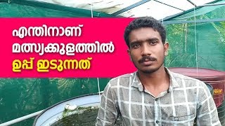 അക്വാറിയത്തിലും മീൻകുളത്തിലും ഉപ്പ് ഇടുന്നത് എന്തുകൊണ്ട്  why add salt in aquarium and fishpond [upl. by Atworth]