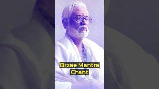 Brzee Mantra Chant for Wealth and Abundance [upl. by Almeta809]