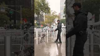 K9 are the best police dog in the world shorts usa k9 viral police [upl. by Alec]