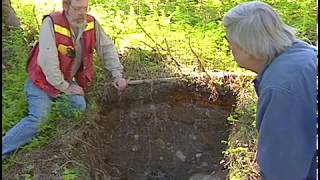 Soil Formation Processes in Podzols at the Lunate Creek Research Area [upl. by Faber286]