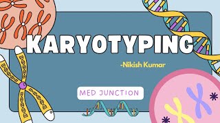 KARYOTYPING GENETICS1113 [upl. by Lledyr509]