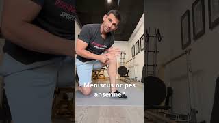 Knee pain Medial meniscus or pes anserine [upl. by Notsle]