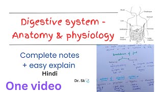 Complete Digestive System  Anatomy amp Physiology notes in one video  hindi  easy explanation [upl. by Ayyn]