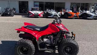 Used 2022 Honda TRX90X ATV For Sale In Hammonton NJ [upl. by Wylie]