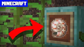 MINECRAFT  What Does the Nautilus Shell Do [upl. by Gretna602]