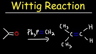 Wittig Reaction Mechanism [upl. by Demodena]