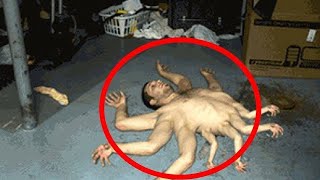 20 Most Mysterious Creatures Caught on Camera in Chernobyl [upl. by Octavia]