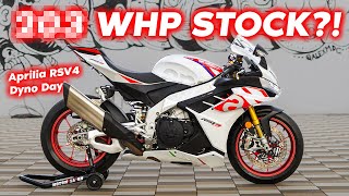 KING OF POWER The NEW Aprilia RSV4 Puts Down HUGE Horsepower [upl. by Gaskins976]