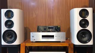 Wharfedale EVO 42 [upl. by Constantia536]